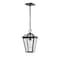 Z-Lite Talbot 1 Light Outdoor Chain Mount Ceiling Fixture, Black & Clear Beveled 579CHM-BK - alternate 4